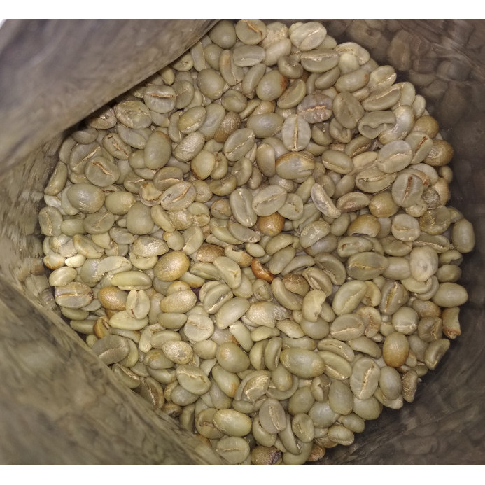 

Greenbean Yellow Catura Java Preanger Terbaik