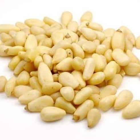 

Pine Nut 500Gr / Kacang Pinus Terlaris