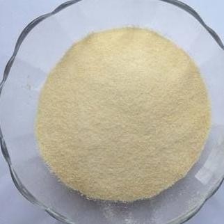 

Gelatine Powder Bubuk Gelatin Bloom 150 500Gr Halal Terlaris