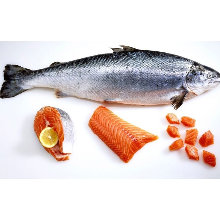 

Ikan salmon segar ukuran 500 gram