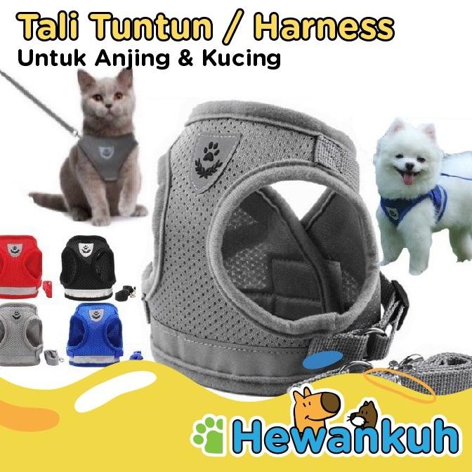 HARNESS KUCING TALI PANJANG