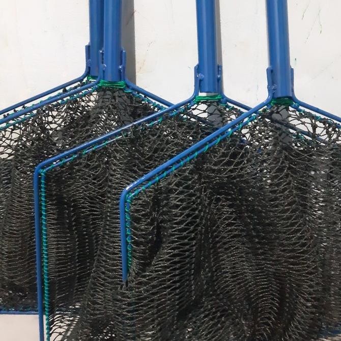 serokan ikan indukan lele gurame nila emas bawal tebal d15