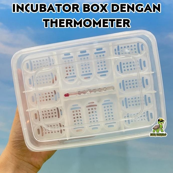 BOX INCUBATOR TELUR REPTIL IGUANNA LEOPARD GECKO CHAMELEON SALVA TEGU