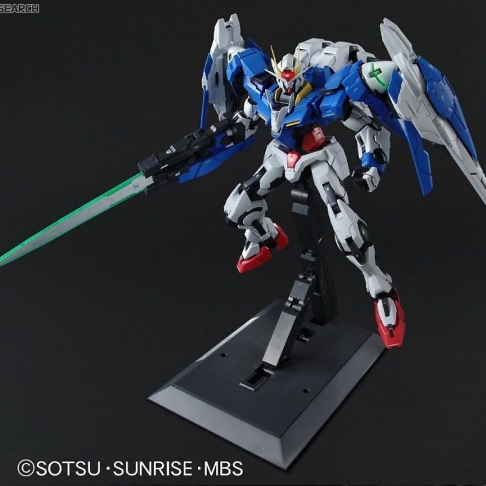 PG 1/60 dam OO Raiser MIB ori 00 Perfect Grade