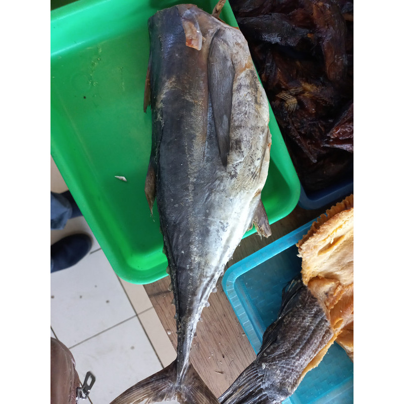 

Ikan asin tongkol 250 gr