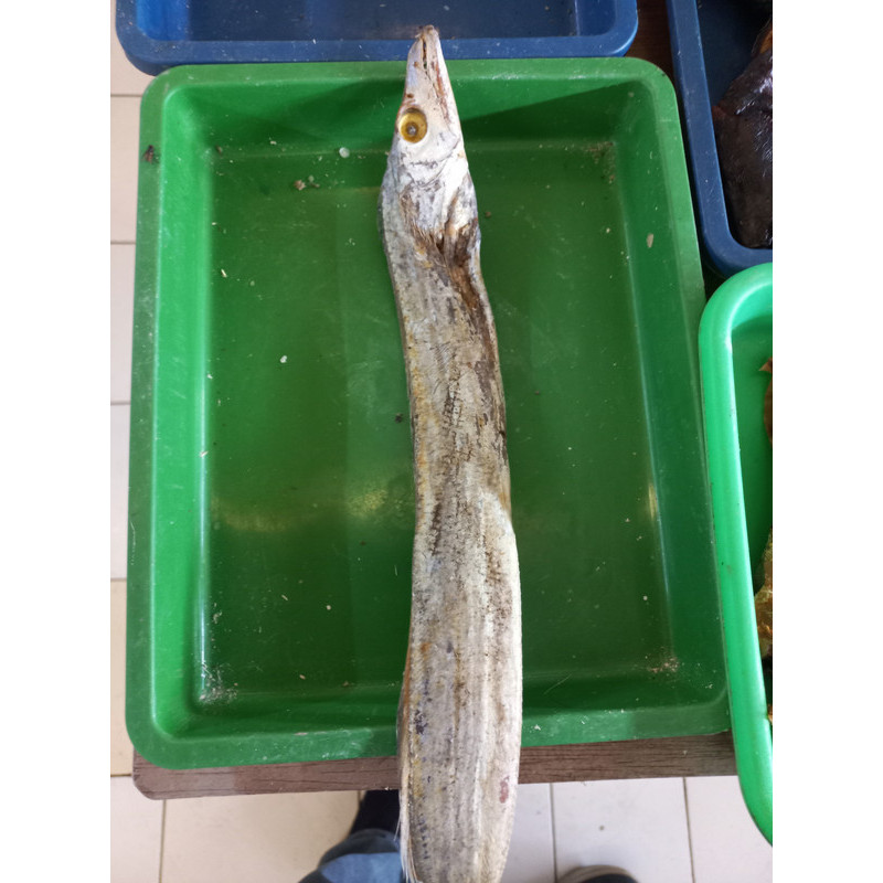 

Ikan asin layur 250 gr