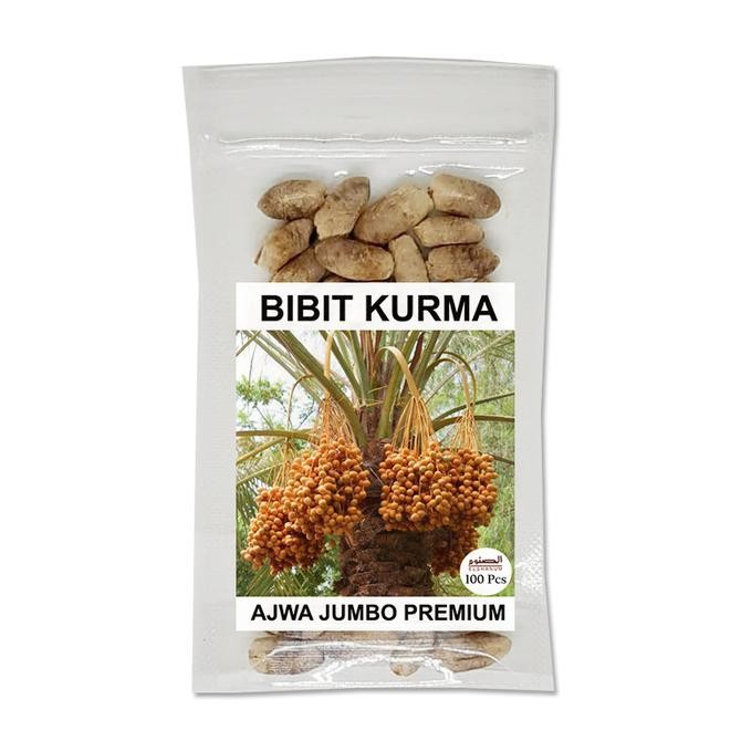 

FRES Bibit Kurma Ajwa Premium 100pcs / Kurma Ajwa Jumbo / Benih Ajwa Unggul