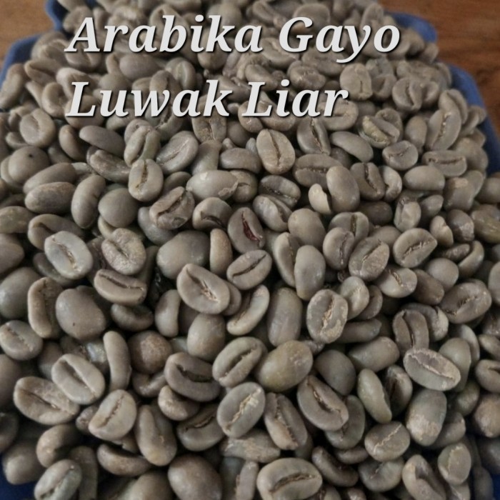 

Green Bean Kopi Arabika Luwak Liar Gayo 1Kg