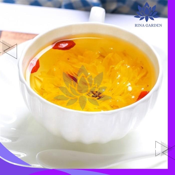 

TEH BUNGA IMPERIAL CHRYSANTHEMUM / KEMBANG KRISAN GOLDEN 20G TERMURAH