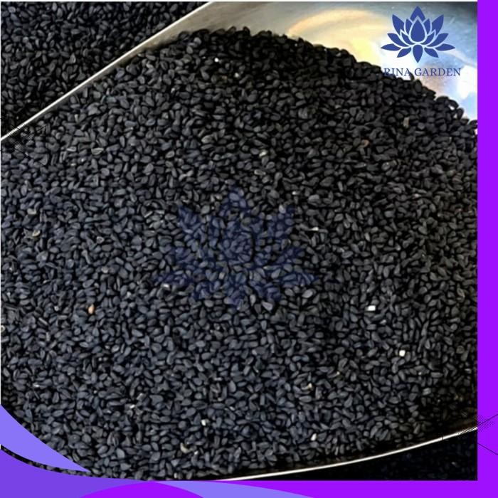 

BIJI JINTAN HITAM 100GR - HABBATUSSAUDA PRODUK TERBAIK