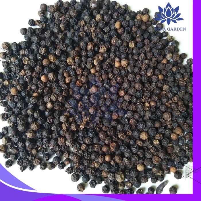 

LADA HITAM UTUH 500GR / BIJI LADA HITAM / MERICA HITAM PRODUK TERBAIK