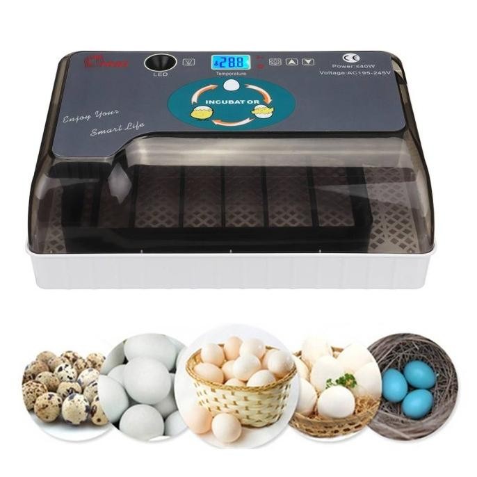 Gercep 12 Egg Incubator Mesin Penetas Telur Ayam Burung Reptil
