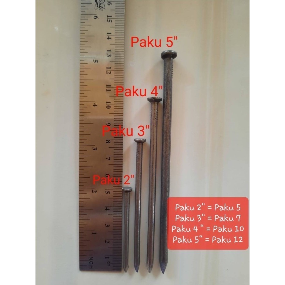Paku Kayu Dus