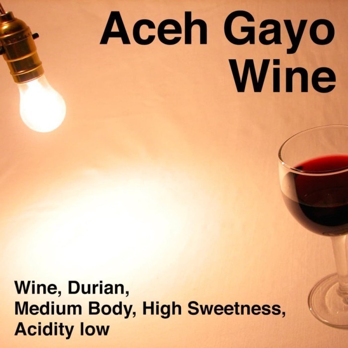 

Kopi Arabika Aceh Gayo Wine 1 Kg