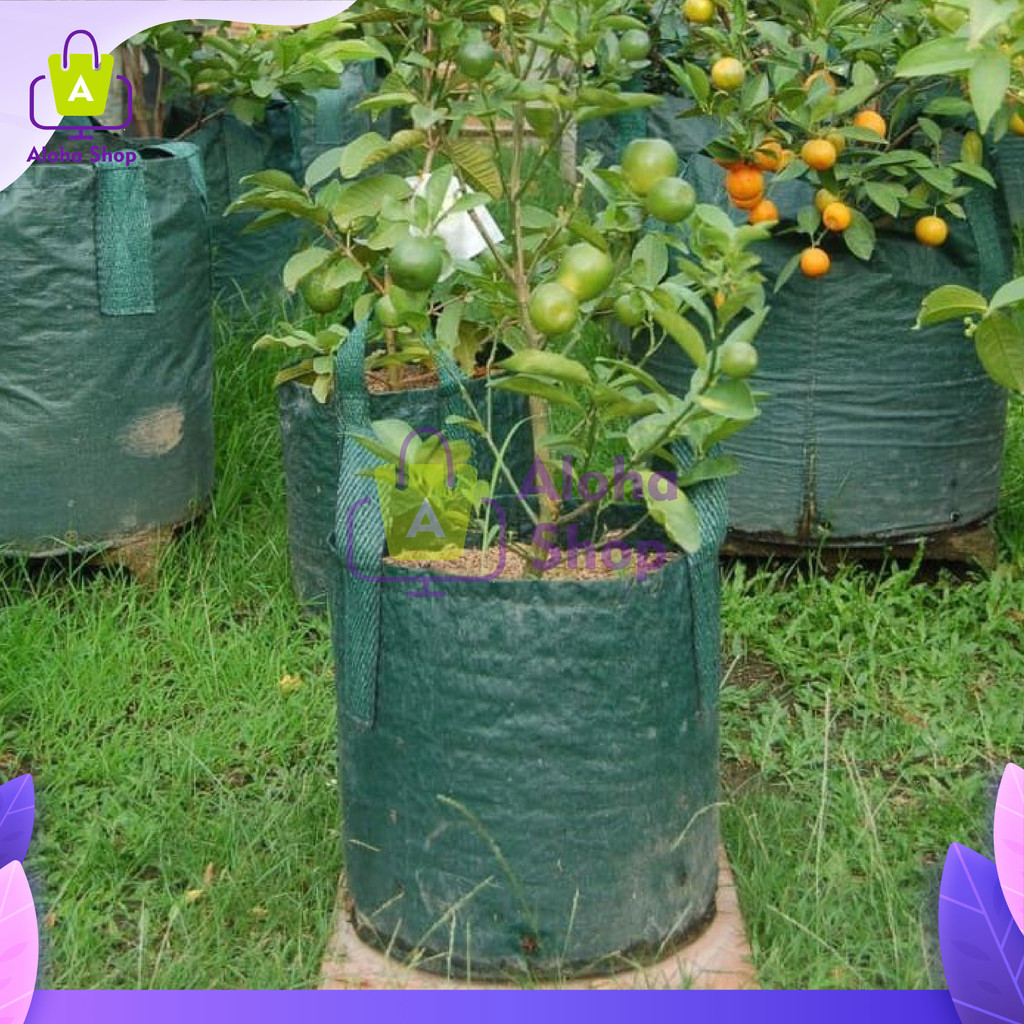 AS Planter Bag Hijau 35 Liter