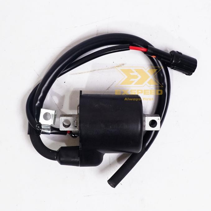 Koil / Coil Ignition Kawasaki Klx 150 Original