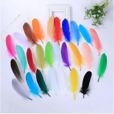 

RS114 Locel Goose Feather - Bulu Angsa Lokal STOK TERBATAS