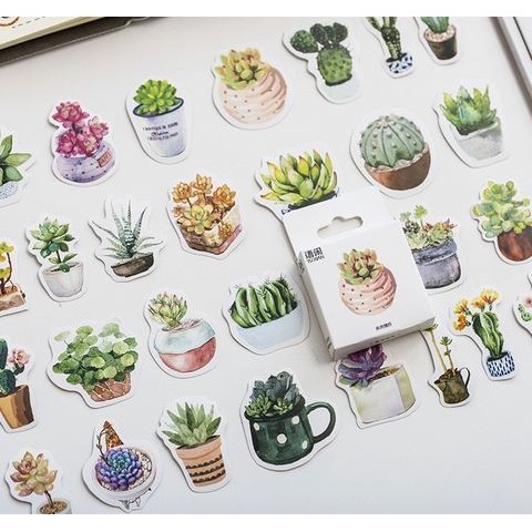 

JJ698 Label Stickers - Succulent Dish (50pcs ) FREE ONGKIR