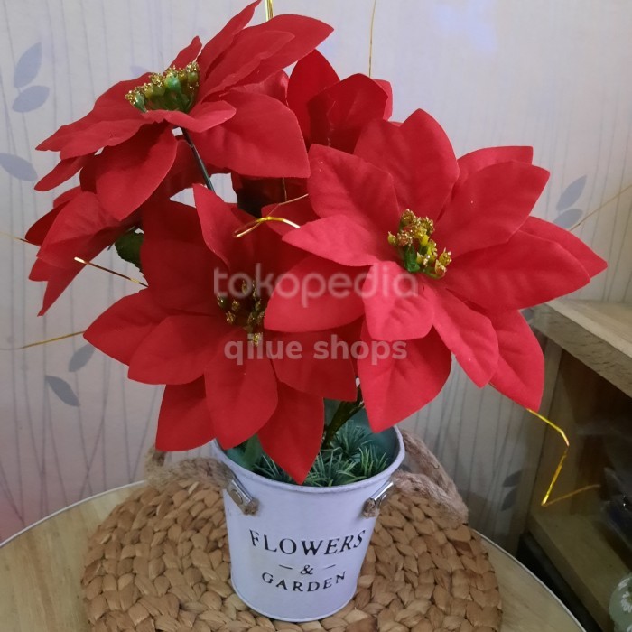 hiasan natal dekorasi natal bunga poinsettia bunga kastuba +pot