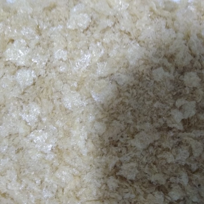 

Terbaru Sarang Walet Hancuran 200 Gr