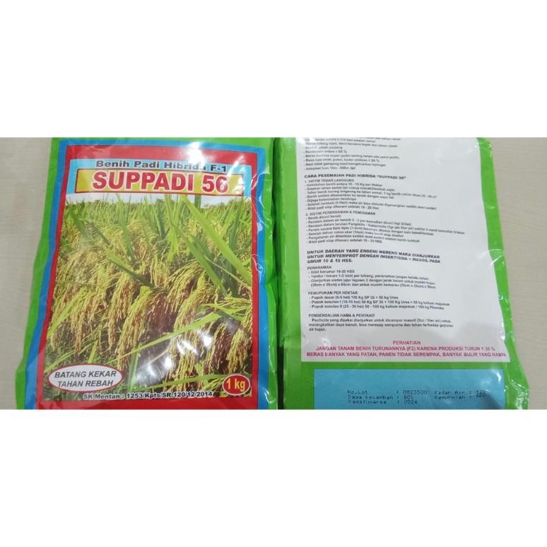 SUPPADI 56 F1 SUPADI 56 ORI ORIGINAL ASLI 100% kemasan 1 kg Exp. JUNI 2025