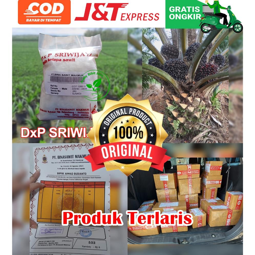 DxP SRIWIJAYA SJ5 UNGGUL DAPAT SERTIFIKAT