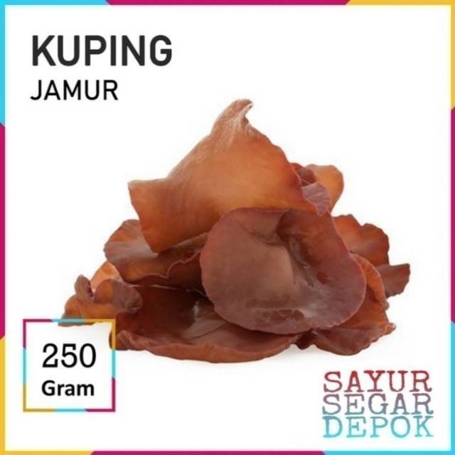 

JAMUR KUPING BASAH