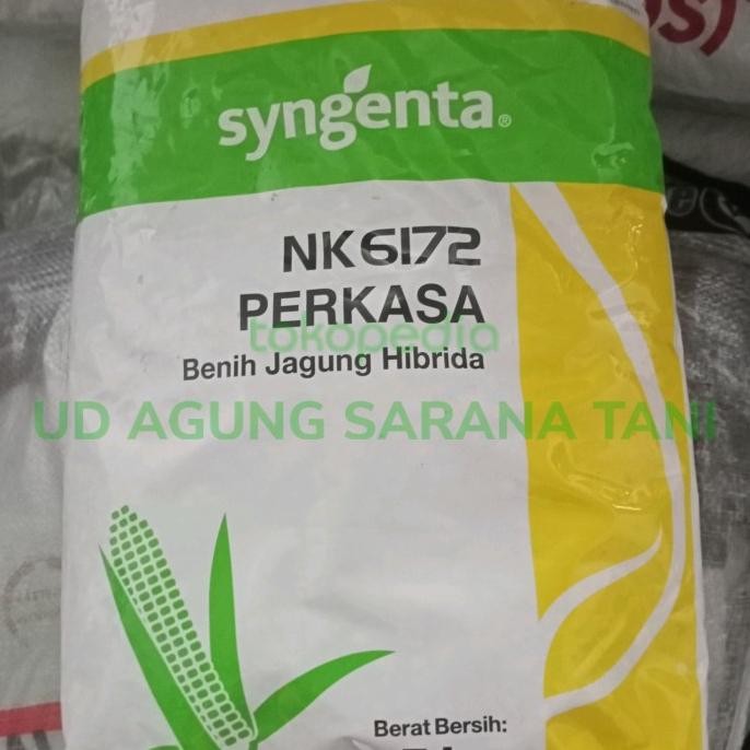 BENIH JAGUNG NK PERKASA 6172 5KG