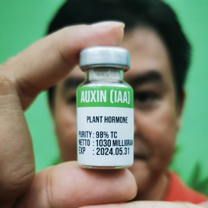 Hormon Auxin Auksin IAA Murni Serbuk Powder Botol Vial Steril Pelarut