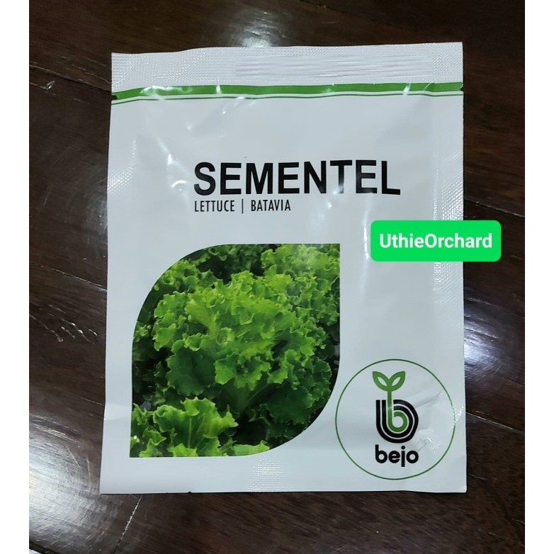 Benih Bejo Seed - Selada Batavia Sementel Kemasan 1000 pills