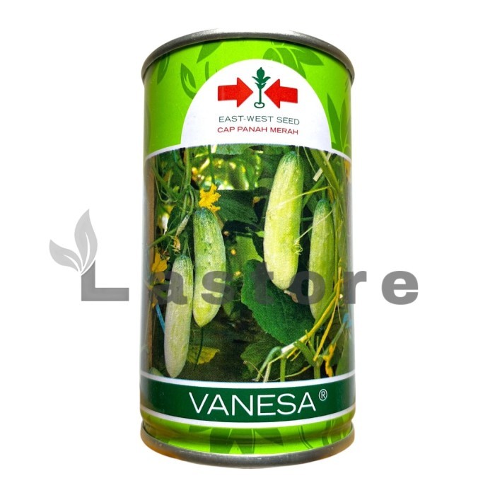 Benih timun lalap Vanesa cap panah merah 50gr kaleng - timun putih