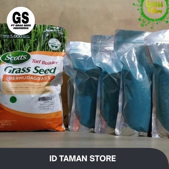 TERBARU Benih biji rumput bermuda golf dan jepang 100gr