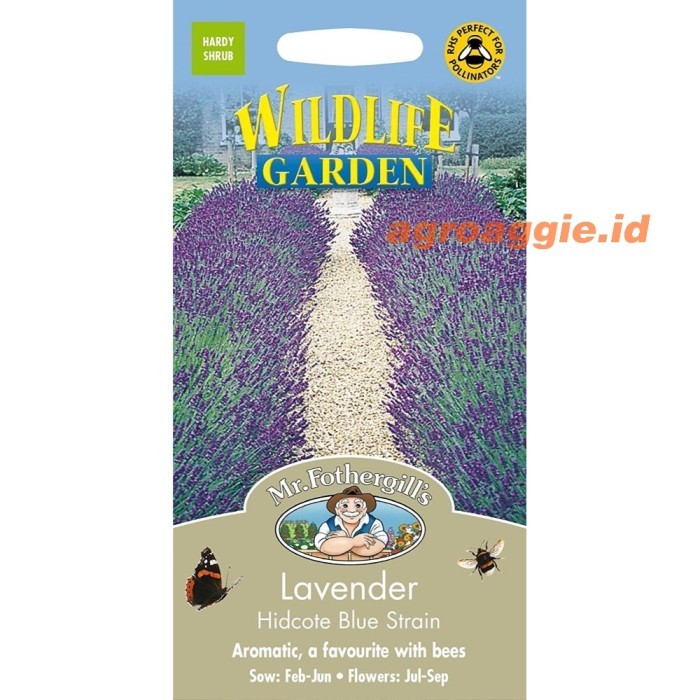 TERBARU Benih Tan. Mr. Fothergill's LAVENDER Hidcote Blue Strain BISA GRAB