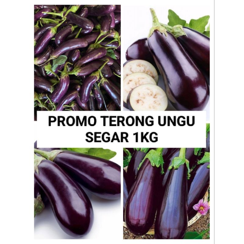 

terong unggu segar 1kg