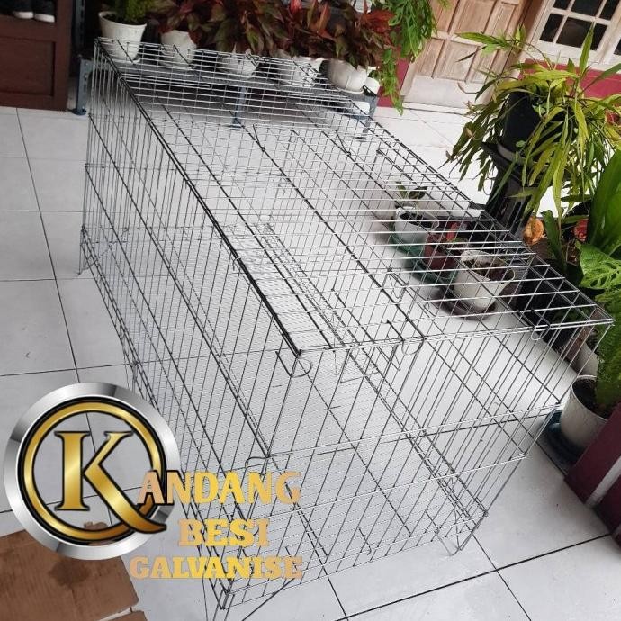 KANDANG KURUNGAN TENGGARAN AYAM JAGO / BANGKOK BAHAN BESI GALVANIS LEK
