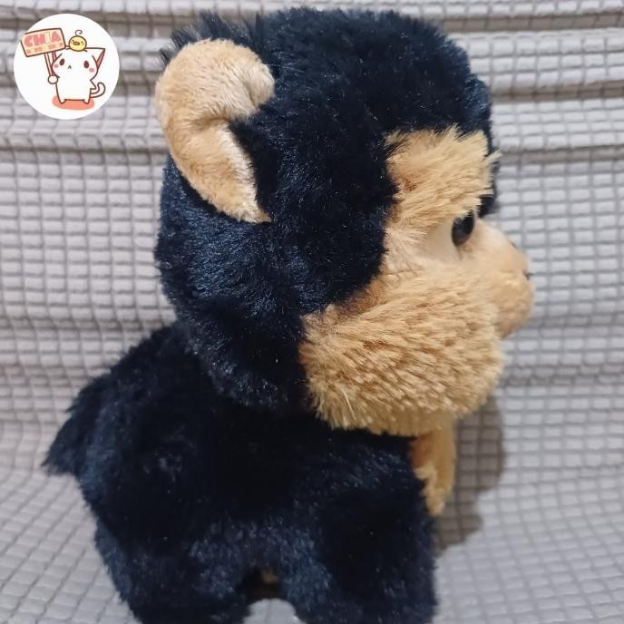 Tersedia Boneka Anak Anjing Pomeranian Cute Puppy Plush Doll Husky Pom Mainan Kado Ultah Anak Origin