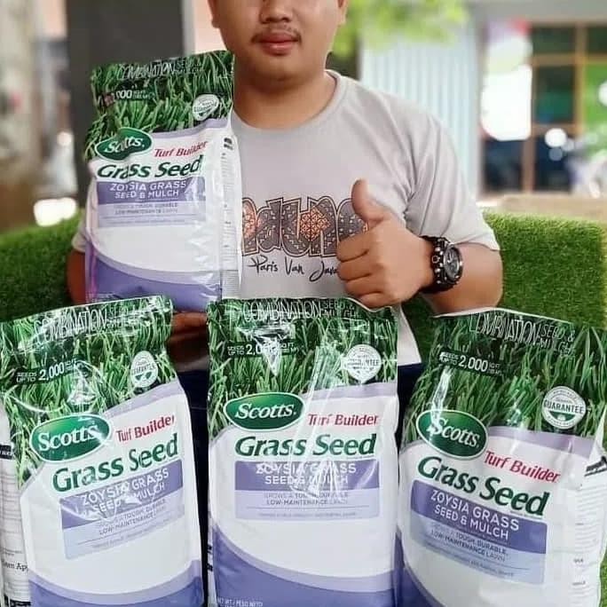 

biji rumput zoysia COD