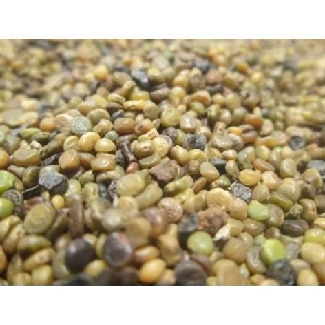 

Biji Indigofera Super COD