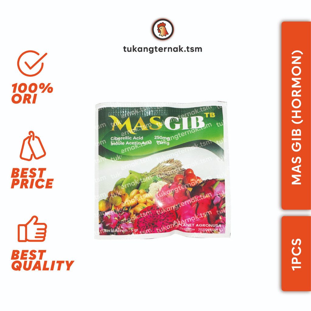 HORMON TUMBUHAN GIBERELIN MASGIB