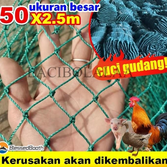 TERSEDIA TIDAK BURUK SELAMA 100 TAHUN JARING AYAM JARING PAGAR AYAM JARING PAGAR TANAMAN LEBAR 2,5 M