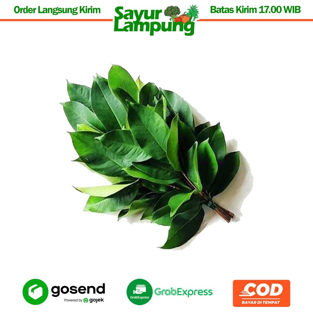 

Daun Salam 250 Gr - Sayur Lampung