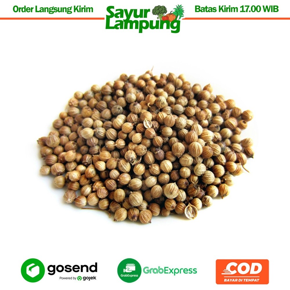 

Ketumbar 1 Bungkus - Sayur Lampung