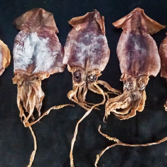 

Juhi / Sotong Kering Tawar Non Sortir Harga Grosir 1 Kg