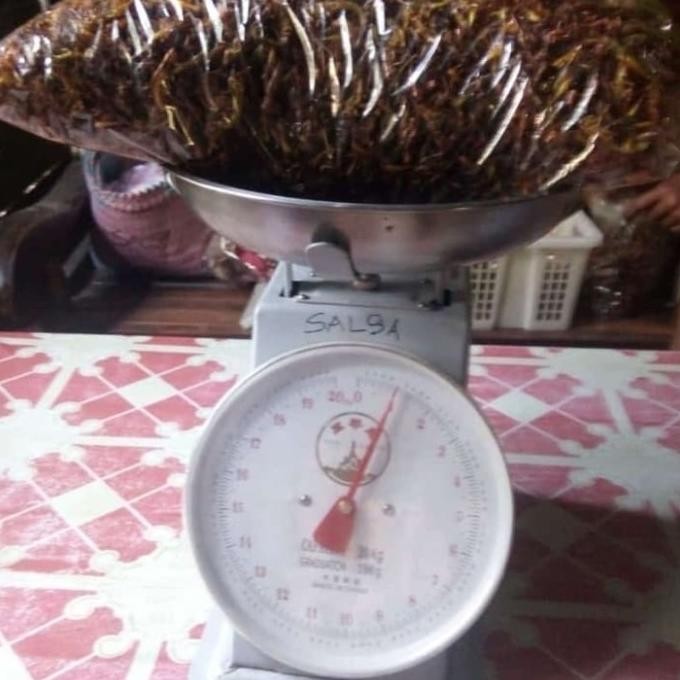 

Belalang goreng 1kg rasa original IS81