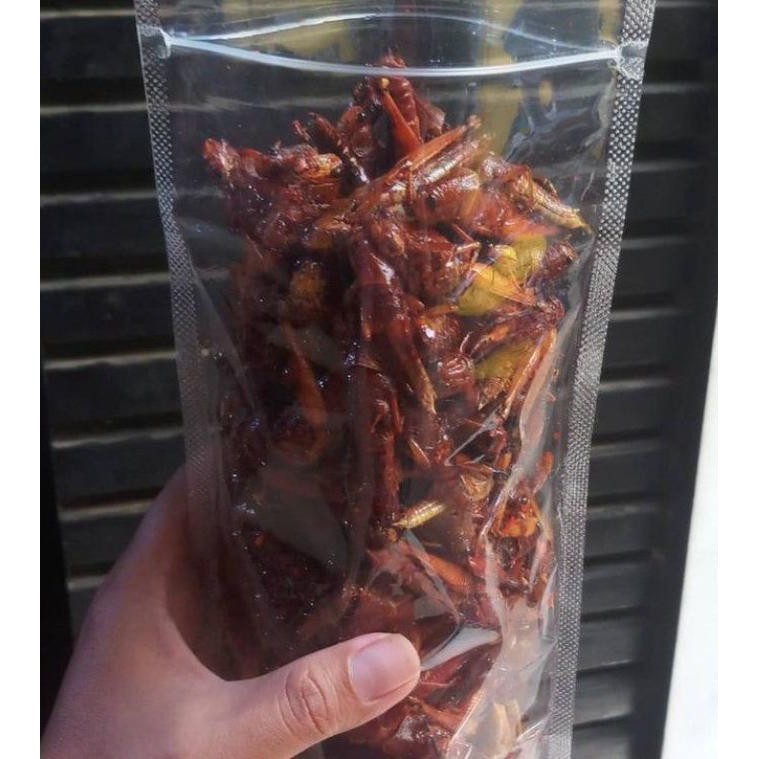 

JANGKRIK GORENG RENYAH JANGKRIK GORENG KRISPY BELALANG GORENG MAKANAN IS81