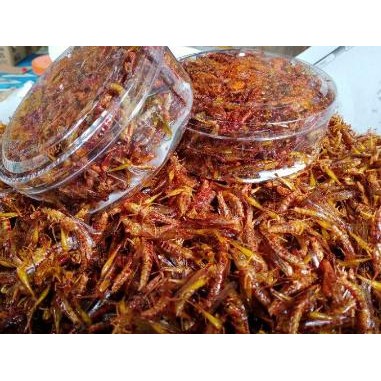 Belalang Goreng Gurih/walang goreng khas gunung kidul/wonosari jogja IS81