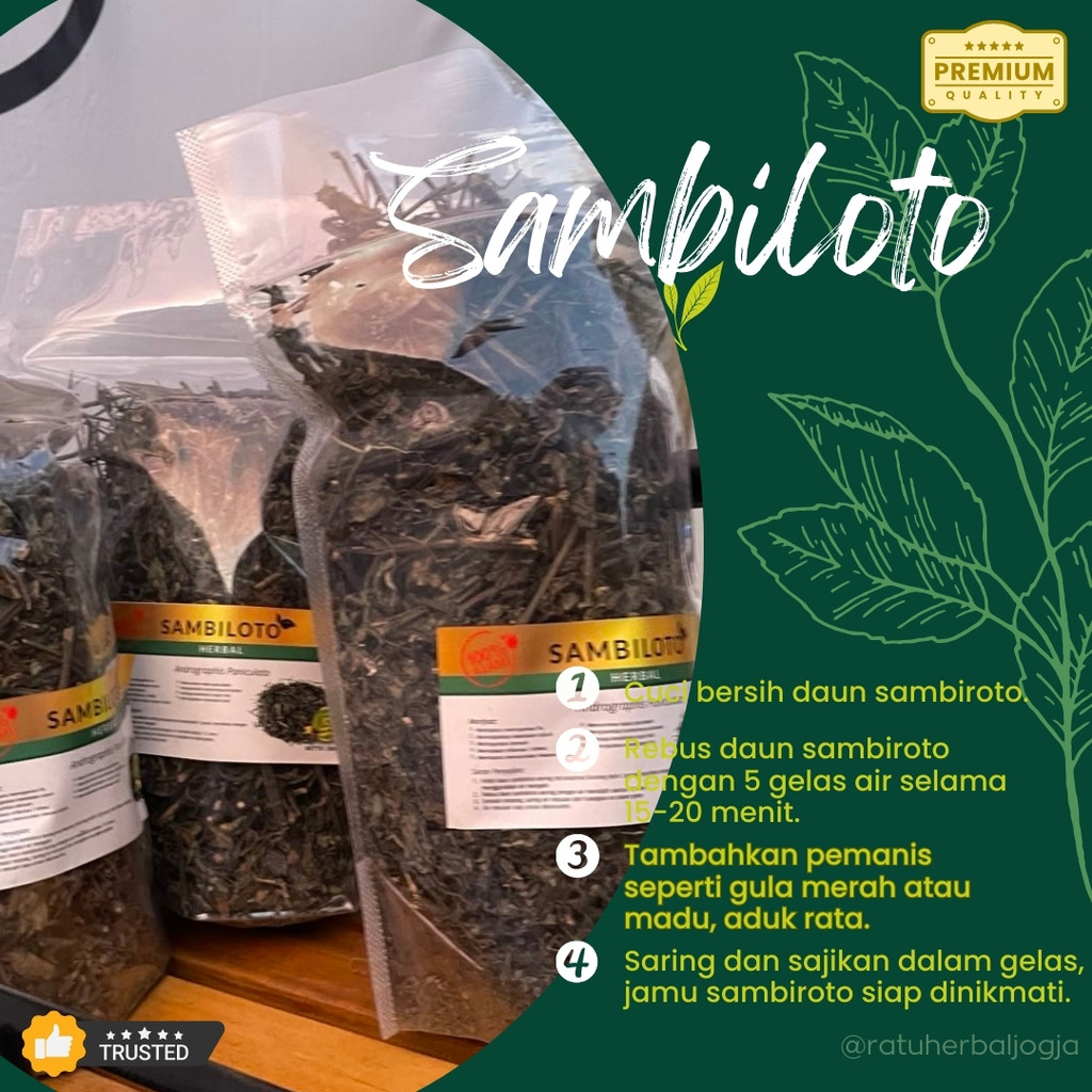 

Promo Premium Herbal Jamu Sambiloto Sambiroto [200gram] Bersih 3 Terlaris Bisa COD