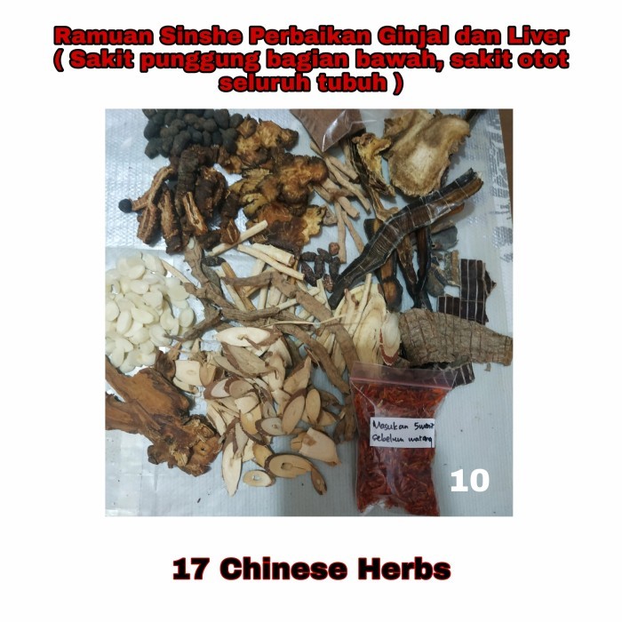 Ramuan Sinshe Perbaikan Ginjal dan Liver (sakit punggung, otot,nyeri)