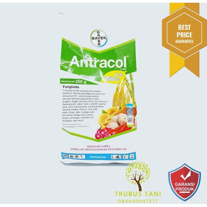 Fungisida Antracol 250gr