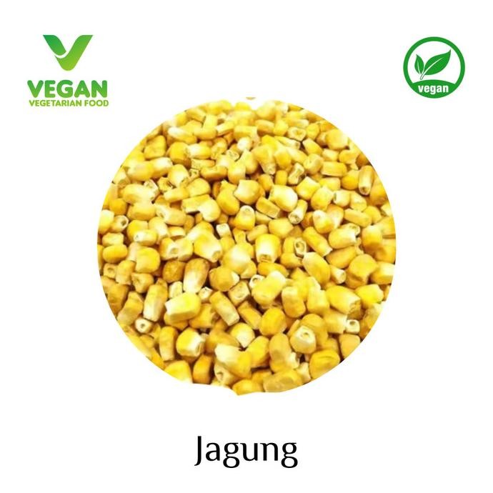 

Freeze Drying spinach bayam / Corn Jagung GLM